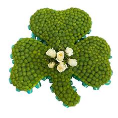 Shamrock Floral Tribute