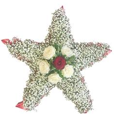Five Point Star Gypsophila Floral Tribute